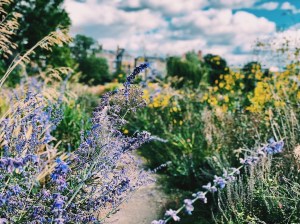 Processed with VSCO with c1 preset